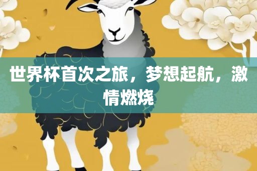 世界杯首次之旅，梦想起航，激情燃烧
