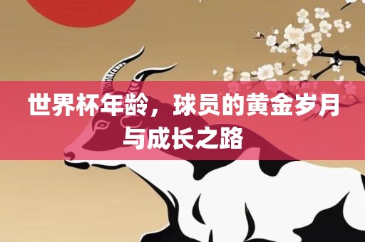 世界杯年龄，球员的黄金岁月与成长之路