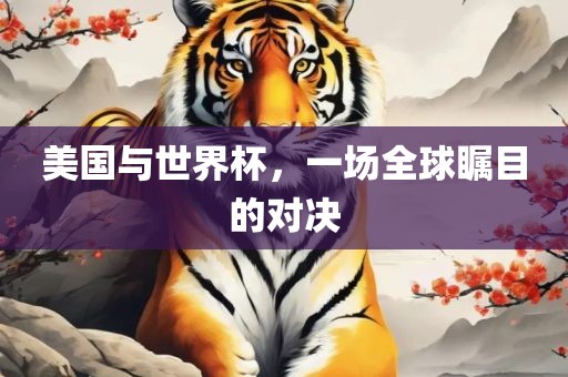 美国与世界杯，一场全球瞩目的对决