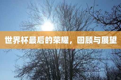 世界杯最后的荣耀，回顾与展望