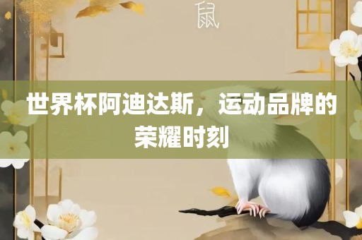 世界杯阿迪达斯，运动品牌的荣耀时刻