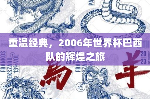 重温经典，2006年世界杯巴西队的辉煌之旅