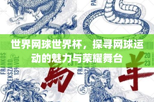 世界网球世界杯，探寻网球运动的魅力与荣耀舞台
