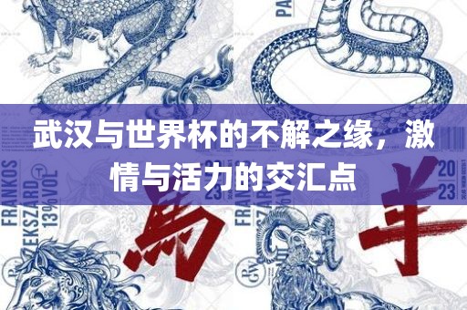 武汉与世界杯的不解之缘，激情与活力的交汇点