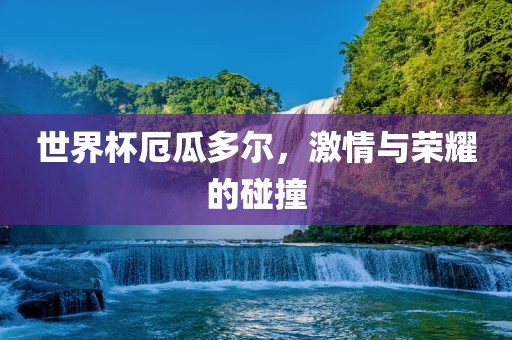 世界杯厄瓜多尔，激情与荣耀的碰撞