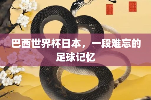 巴西世界杯日本，一段难忘的足球记忆