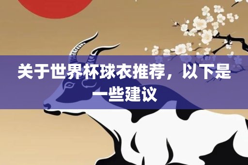 关于世界杯球衣推荐，以下是一些建议