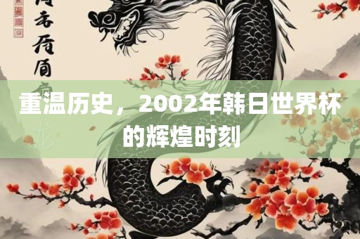 重温历史，2002年韩日世界杯的辉煌时刻