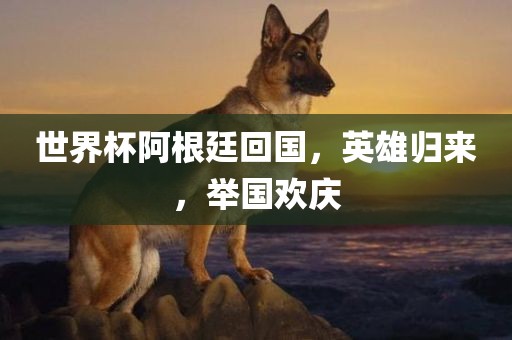 世界杯阿根廷回国，英雄归来，举国欢庆