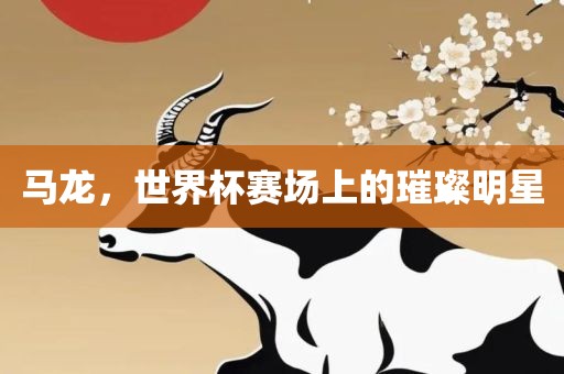 马龙，世界杯赛场上的璀璨明星