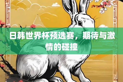 日韩世界杯预选赛，期待与激情的碰撞