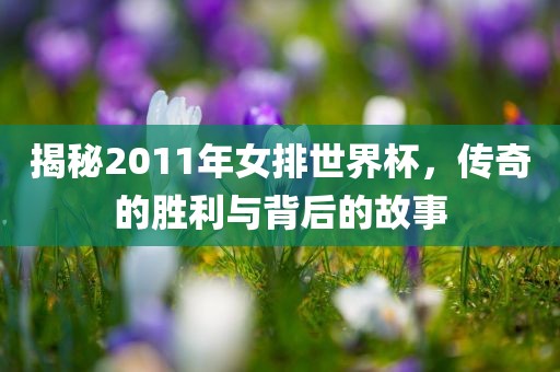 揭秘2011年女排世界杯，传奇的胜利与背后的故事