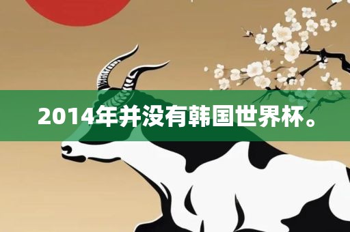 2014年并没有韩国世界杯。
