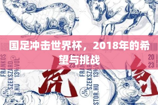 国足冲击世界杯，2018年的希望与挑战