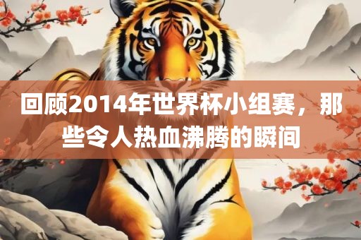 回顾2014年世界杯小组赛，那些令人热血沸腾的瞬间