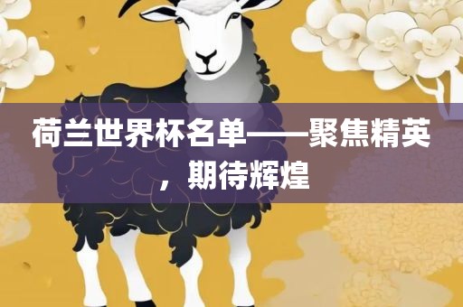 荷兰世界杯名单——聚焦精英，期待辉煌