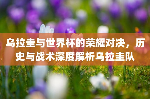 乌拉圭与世界杯的荣耀对决，历史与战术深度解析乌拉圭队