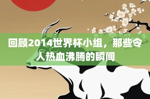 回顾2014世界杯小组，那些令人热血沸腾的瞬间