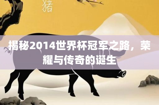 揭秘2014世界杯冠军之路，荣耀与传奇的诞生