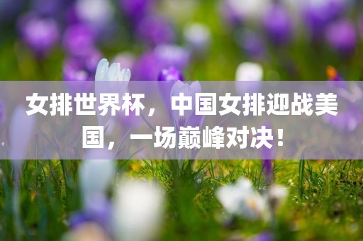 女排世界杯，中国女排迎战美国，一场巅峰对决！