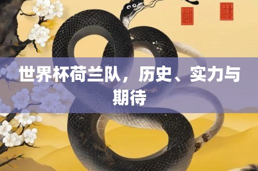 世界杯荷兰队，历史、实力与期待