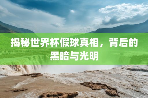 揭秘世界杯假球真相，背后的黑暗与光明眉山市正发家政服务有限公司
