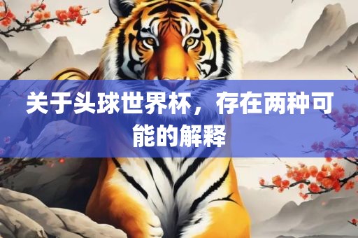 关于头球世界杯，存在两种可能的解释