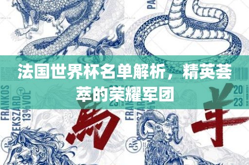 法国世界杯名单解析，精英荟萃的荣耀军团