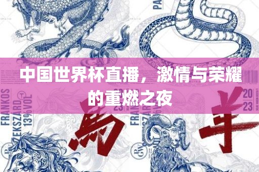 中国世界杯直播，激情与荣眉山市正发家政服务有限公司耀的重燃之夜