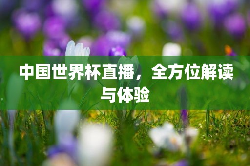 中国世界杯直播，全方位解读与体验眉山市正发家政服务有限公司