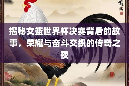揭秘女眉山市正发家政服务有限公司篮世界杯决赛背后的故事，荣耀与奋斗交织的传奇之夜