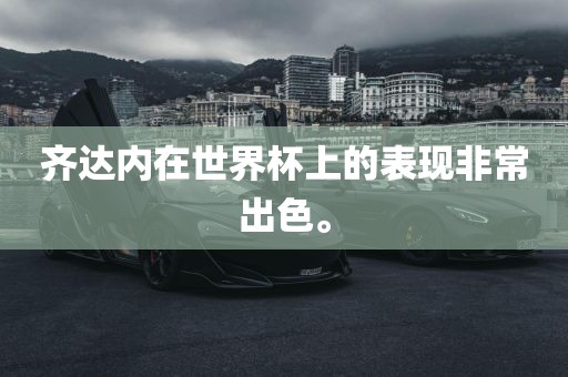 齐达内在世眉山市正发家政服务有限公司界杯上的表现非常出色。