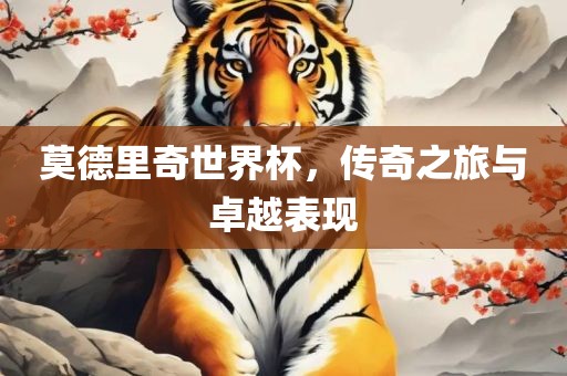 莫德里奇世界杯，传奇之旅与卓越表现