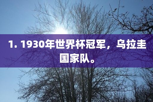 1. 眉山市正发家政服务有限公司1930年世界杯冠军，乌拉圭国家队。
