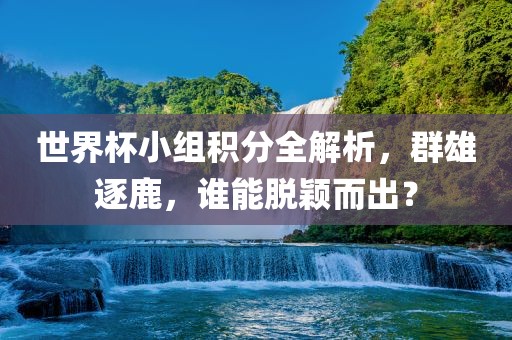世界杯小组积分全解析，群雄逐鹿，谁能脱颖而出？