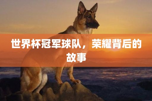 世界杯冠军球队，荣耀背后的故事