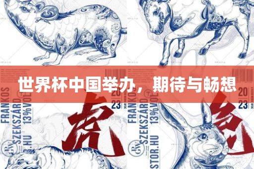 世界杯中国举办，期待与畅想