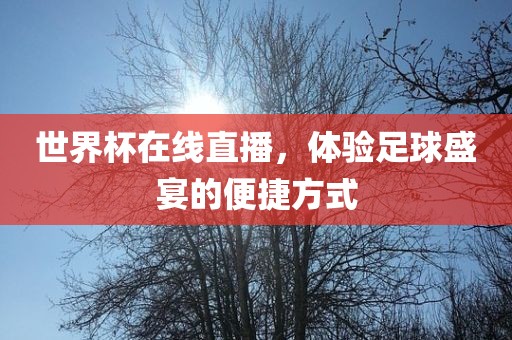 世界杯在线直播，体验足球盛宴的便捷方式