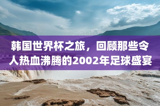 韩国世界杯之眉山市正发家政服务有限公司旅，回顾那些令人热血沸腾的2002年足球盛宴