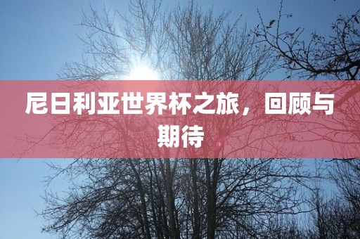 尼日利亚世界杯之旅，回顾与期待