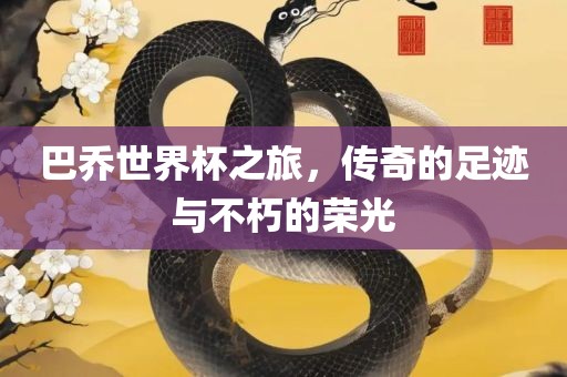 巴乔世界杯之旅，传奇的足迹与不朽眉山市正发家政服务有限公司的荣光