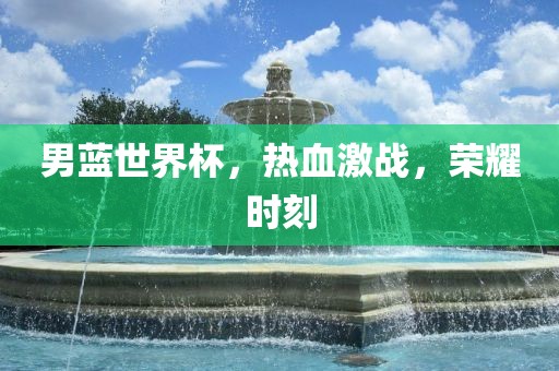 男蓝世界杯，热血激战，荣耀时刻