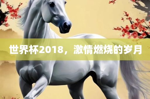 世界杯2018，激情燃烧的岁月眉山市正发家政服务有限公司