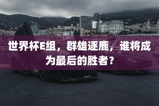 世界杯E组，群雄逐鹿，谁将成为最后的胜者？