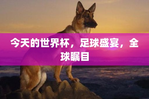 今天的世界杯，足球盛宴，全球瞩目眉山市正发家政服务有限公司