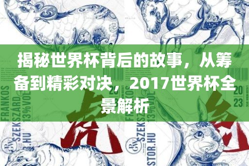 揭秘世界杯背后的故事，从筹备到精彩对决，2017世界杯全景解析