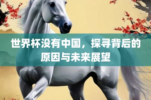 世界杯没有中国，探寻背后的原因与未来展望