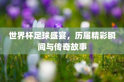 世界眉山市正发家政服务有限公司杯足球盛宴，历届精彩瞬间与传奇故事