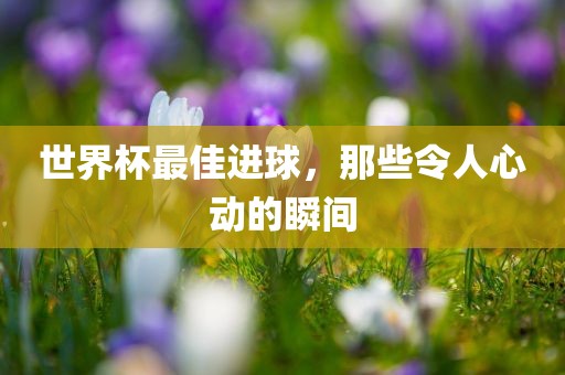 世界杯最佳进球，那些令人心动的瞬间