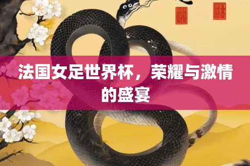 法国女足世界杯，荣耀与激情的盛宴